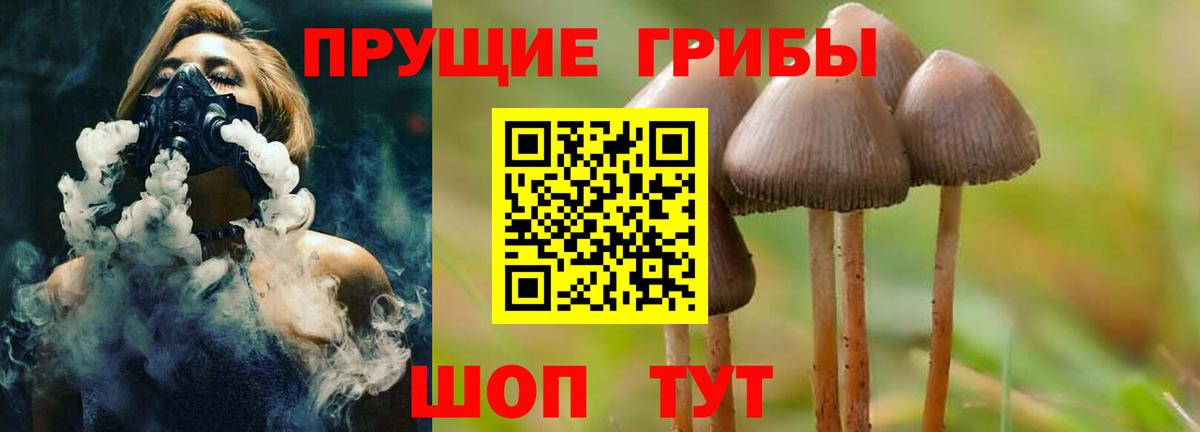 Еманжелинск  Галлюциногенные грибы Cubensis  Вход с VPN 